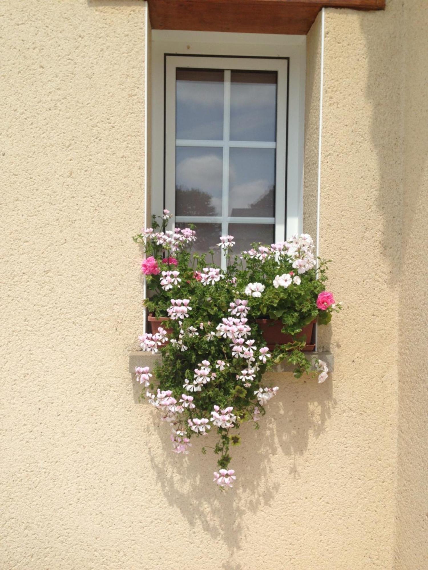 Chambres D'Hotes Le Bignon Dans Les Alpes Mancelles Villaines-la-Juhel エクステリア 写真